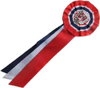 Borgertoget 17. mai 2016